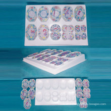 School Supplies Biology Plant Mitosis Meiosis Teaching Models (R180122)